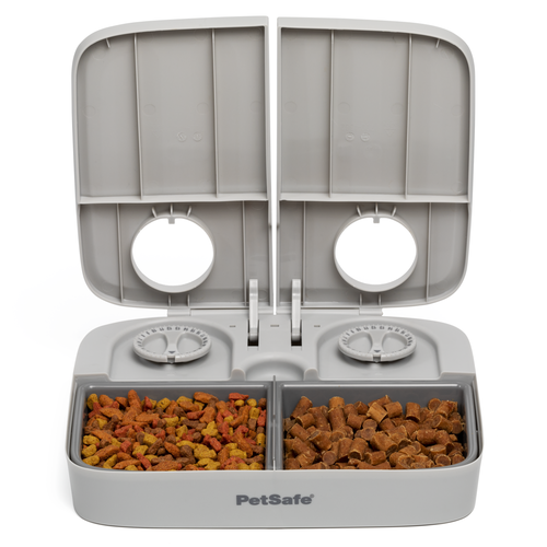 PetSafe Automatic 2 Meal Pet Feeder