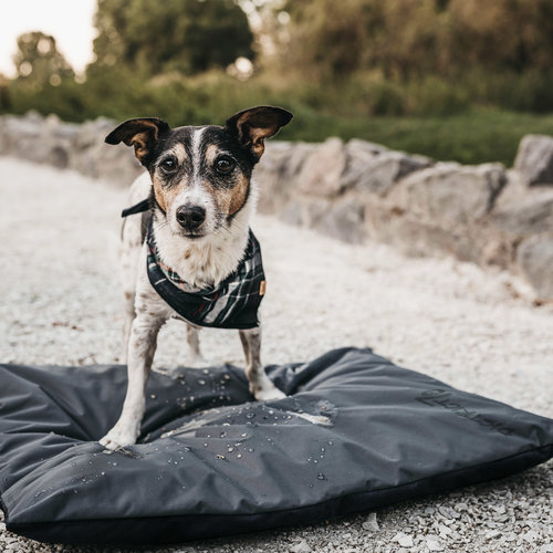 District 70 LODGE Benchmat