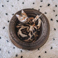 District 70 MAZE 3-in-1 collapsible catbed