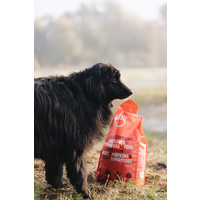 Imby Insect-based Dry Food - Medium Imby Imby Insect-based Dry Food - Medium
