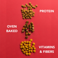 Imby Insect-based Dry Food - Medium Imby Imby Insect-based Dry Food - Medium