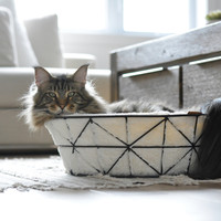 BeOneBreed Beonebreed Metal Wire Cat Basket and Foam Cushion