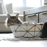 BeOneBreed Metal Wire Cat Basket and Foam Cushion