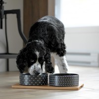 Beonebreed Ceramic & Bamboo Duo Bowl Black BeOneBreed Beonebreed Ceramic & Bamboo Duo Bowl Black