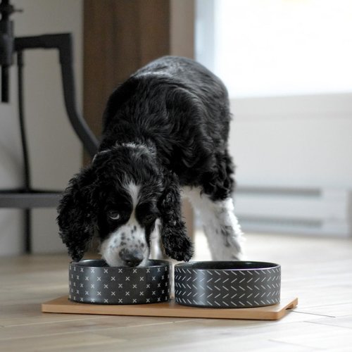 BeOneBreed Ceramic & Bamboo Duo Bowl  Black