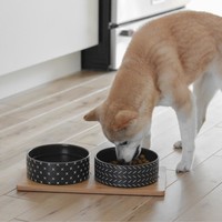 Beonebreed Ceramic & Bamboo Duo Bowl Black BeOneBreed Beonebreed Ceramic & Bamboo Duo Bowl Black