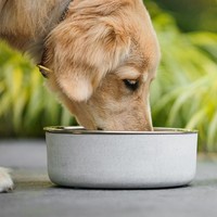 Beonebreed Concrete Bowl BeOneBreed Beonebreed Concrete Bowl