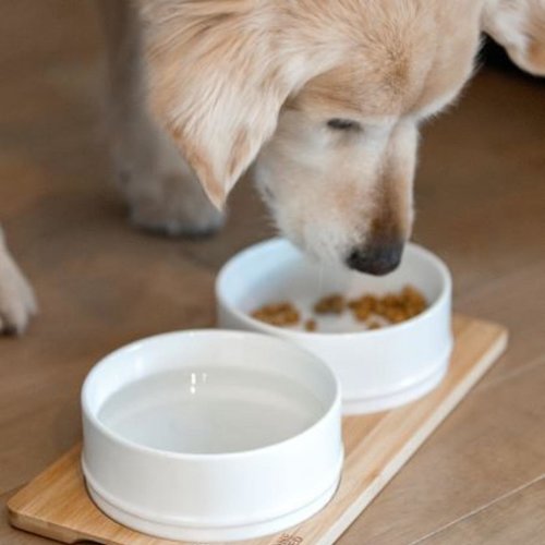 BeOneBreed Ceramic & Bamboo Bowl Duo White