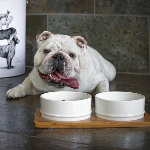 BeOneBreed Ceramic & Bamboo Bowl Duo White