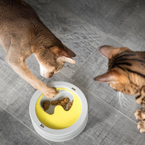 BeOneBreed  Intellikat Interactive Bowl For Cats