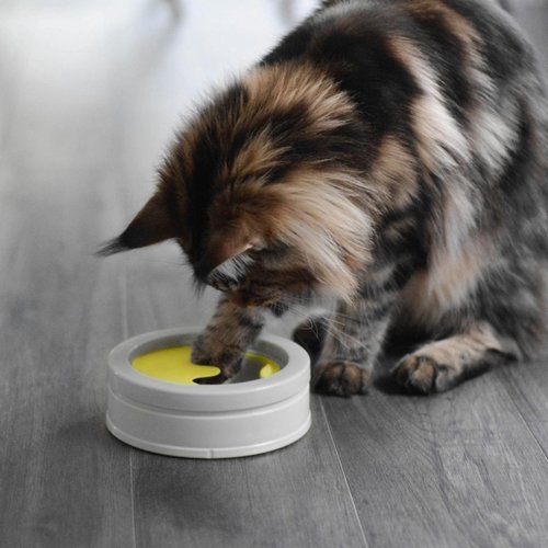 BeOneBreed  Intellikat Interactive Bowl For Cats