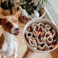 District 70 BAMBOO Slow Feeder Dog Bowl - Ø21 and Ø28 cm