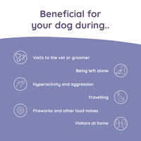 Greenfields Calm+ to relieve stress for dogs Greenfields Greenfields Calm+ to relieve stress for dogs