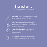 Greenfields Calm+ to relieve stress for dogs Greenfields Greenfields Calm+ to relieve stress for dogs