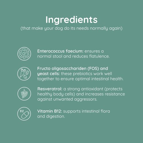Greenfields Probiotics+ bij gevoelige darmen