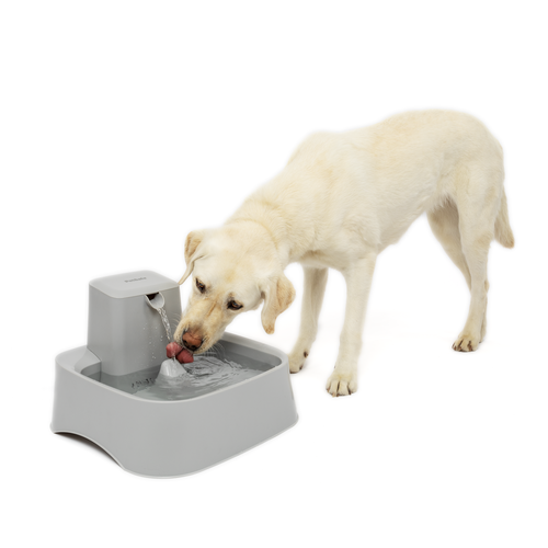 Drinkwell Drinkwell® 7.5 Liter Pet Fountain