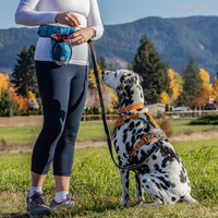 Kurgo - Go Stuff It Treat Bag Kurgo Kurgo - Go Stuff It Treat Bag