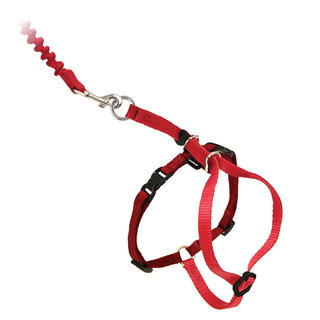 EasyWalk Cat Harness with Bungee Leash