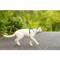 EasyWalk® Cat Harness with Bungee Leash EasyWalk® Cat Harness with Bungee Leash