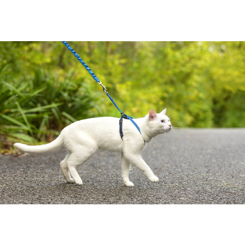 PetSafe EasyWalk  Cat Harness with Bungee Leash