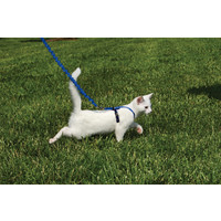 EasyWalk® Cat Harness with Bungee Leash EasyWalk® Cat Harness with Bungee Leash