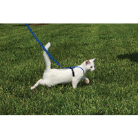 PetSafe EasyWalk  Cat Harness with Bungee Leash