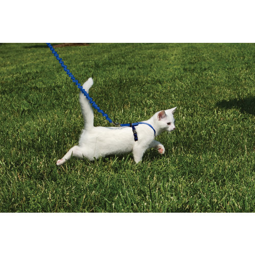 EasyWalk®  Cat Harness with Bungee Leash