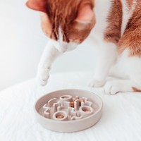 District 70 Stylish anti-gulp bowl for cats District 70 District 70 Stylish anti-gulp bowl for cats