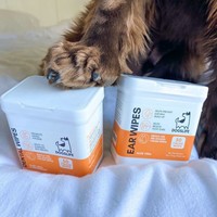 DogsLife Ear Wipes