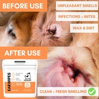 DogsLife Ear Wipes DogsLife DogsLife Ear Wipes