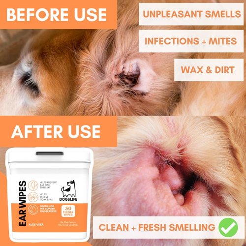 DogsLife Ear Wipes