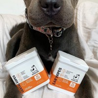 DogsLife Dental Wipes