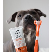 DogsLife Dental Kit DogsLife DogsLife Dental Kit