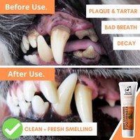 DogsLife Dental Kit DogsLife DogsLife Dental Kit