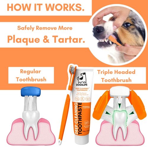 DogsLife Dental Kit