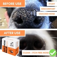 DogsLife Paw & Nose Balm DogsLife DogsLife Paw & Nose Balm