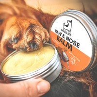 DogsLife Paw & Nose Balm DogsLife DogsLife Paw & Nose Balm