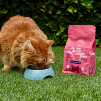 Imby Insect Based Cat Food Imby Imby Insect Based Cat Food