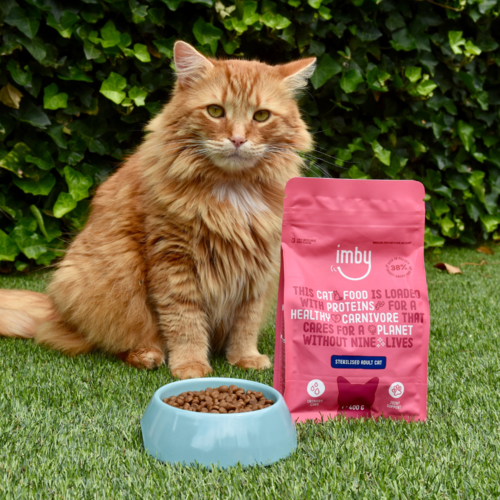 Imby Insect Based Cat Food