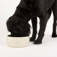 Scruffs Icon Pet Food Bowl