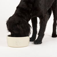 Scruffs Icon Pet Food Bowl Scruffs Scruffs Icon Pet Food Bowl