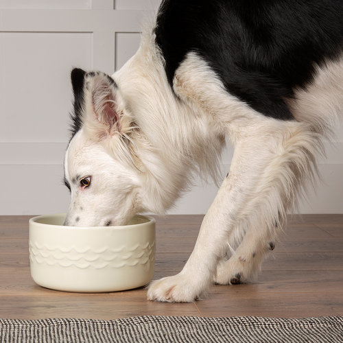 Scruffs Icon Pet Drink Bowl