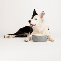 Scruffs Classic Pet Food Bowl - 6pcs.