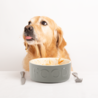 Scruffs Scruffs - Classic Pet Food Bowl - 6stk. Scruffs Scruffs - Classic Pet Food Bowl - 6stk.