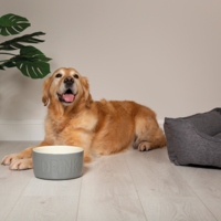 Scruffs Classic Pet Drink Bowl Scruffs® Scruffs Classic Pet Drink Bowl