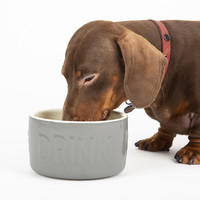 Scruffs Classic Pet Drink Bowl Scruffs® Scruffs Classic Pet Drink Bowl