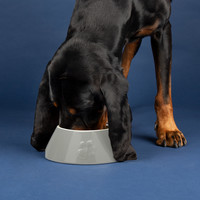 Scruffs Classic Long Eared Pet Bowl - 4stk. Scruffs Scruffs Classic Long Eared Pet Bowl - 4stk.