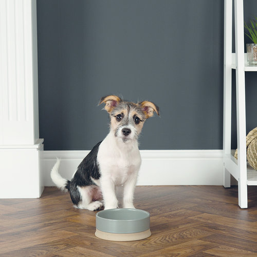 Scruffs Scandi Non Tip Pet Bowl - 4stk.