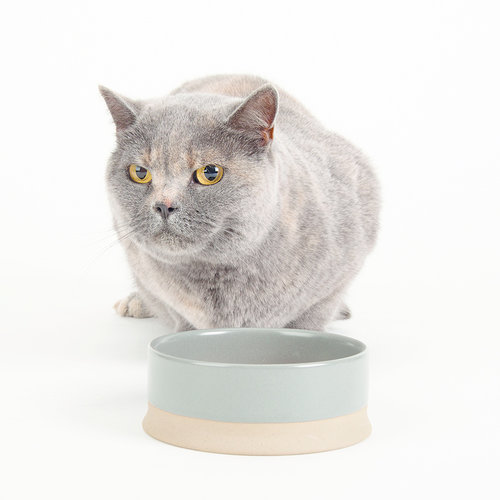 Scruffs Scandi Non Tip Pet Bowl - 4pcs.