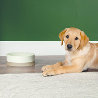 Scruffs Scandi Non Tip Pet Bowl - 4stk. Scruffs® Scruffs Scandi Non Tip Pet Bowl - 4stk.
